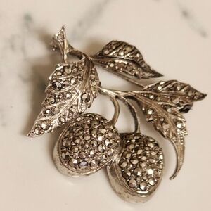 Pauline Radar Fruit On The Vine Sterling Brooch